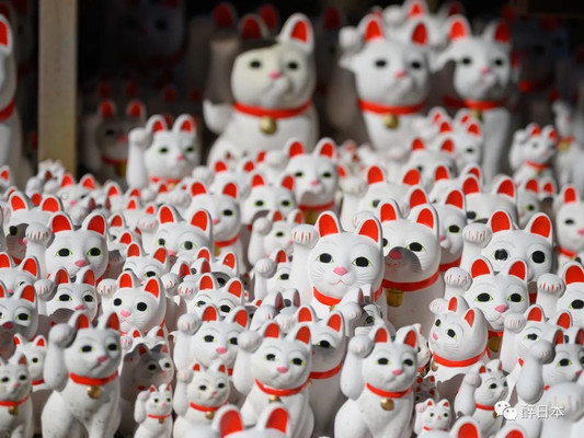 4000只招财猫齐聚一堂？福气满满的「豪德寺」