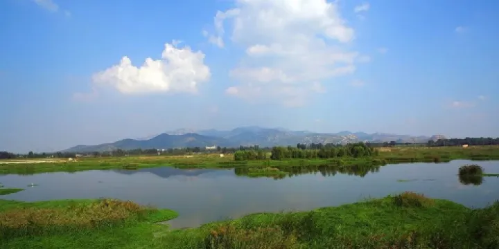 泰山國際濕地公園