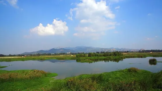泰山國際濕地公園