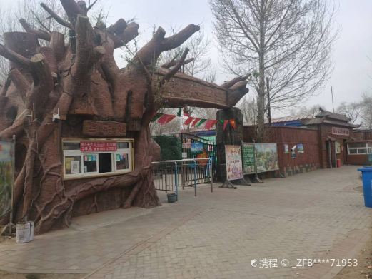 桥北动物园