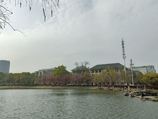 麓谷公园