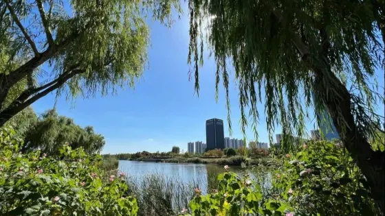 龍遊河生態公園