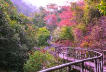 福州旗山国家森林公园景点图片