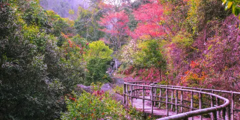 福州旗山國家森林公園