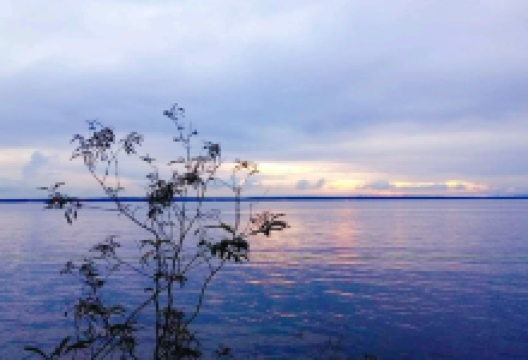 内格罗河景点图片