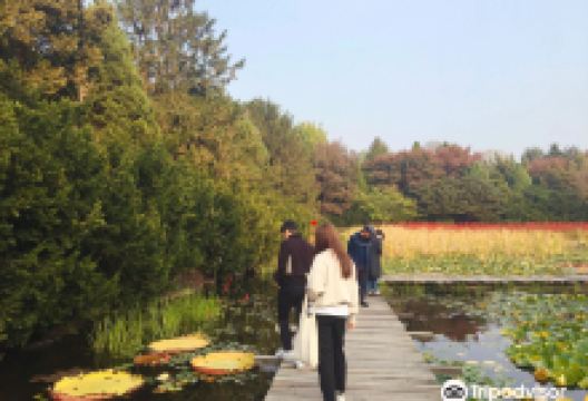 Byukchoji Gardens景点图片