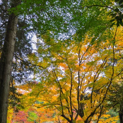 日本东京+千叶+茨城6日5晚私家团