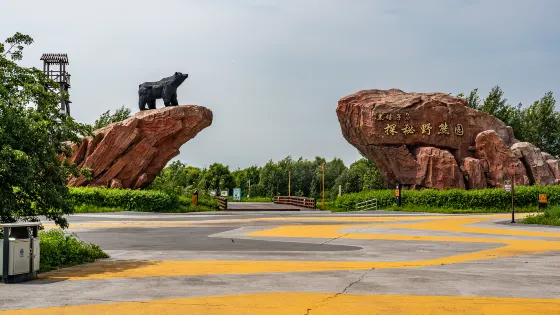 黑瞎子島探祕野熊園