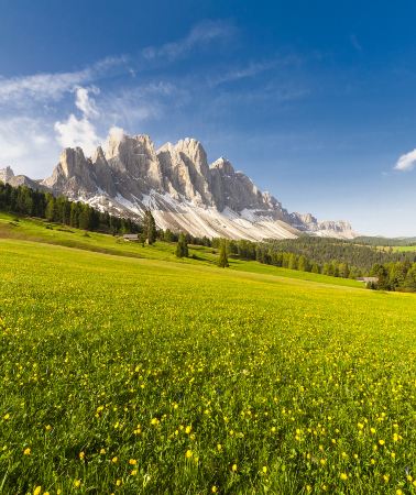 3D2N • Dolomites to Venice ·  A Private Journey Through the Italian Alps