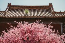 苍岩山风景区-井陉