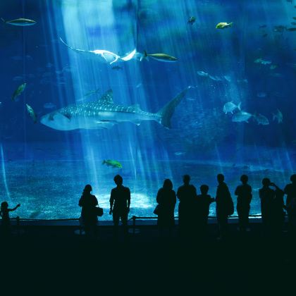 日本冲绳4日3晚自由行