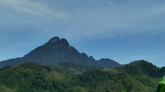 五指山第一峯
