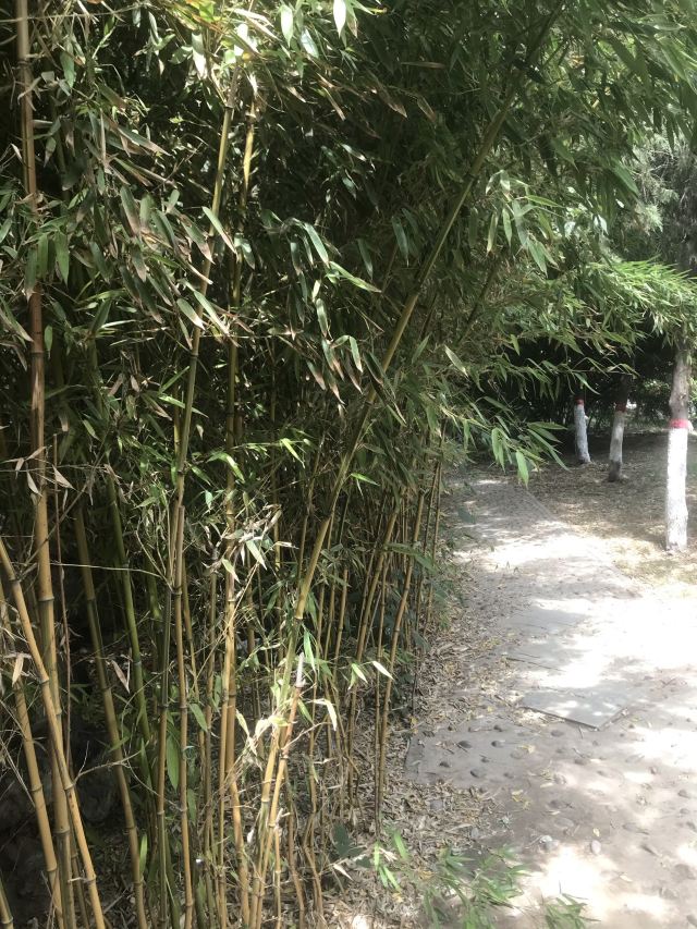 庙香山风景区旅行图片 1
