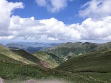 大海草山-会泽-小蘑菇wing仔