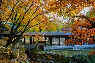 11月旅行地推荐 | 这10个小众绝美的秋景地,美到不想回家