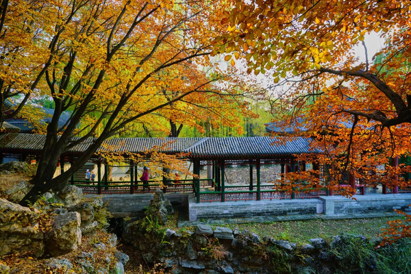 11月旅行地推荐 | 这10个小众绝美的秋景地，美到不想回家