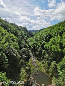 福建龙栖山国家级自然保护区-将乐-YoYo_6L4Q4G2E