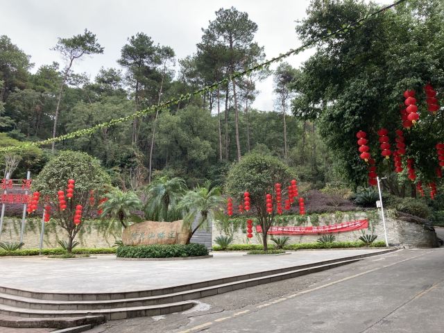 韶关国家森林公园旅行图片 3