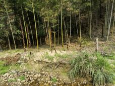 寨下大峡谷-泰宁-YoYo_4F8V8H0D