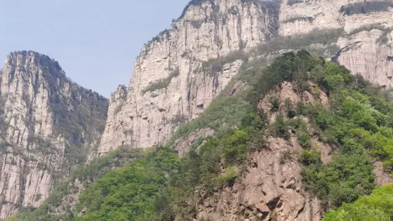 歷山獼猴源景區