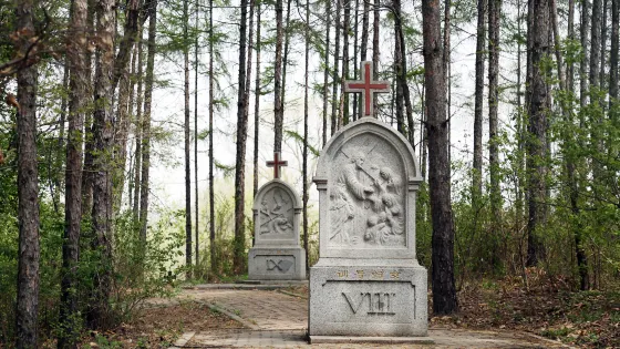 吉林露德聖母山