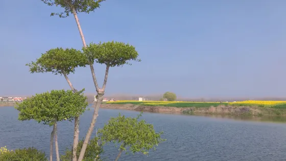 淮河公園
