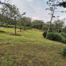 岳屏公园-衡阳-Princesstt