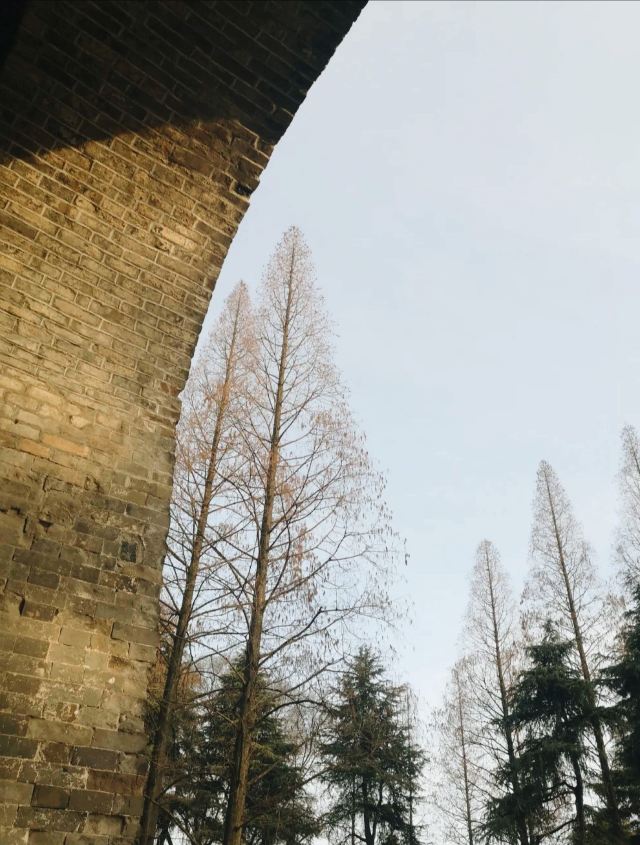 午朝门公园旅行图片 5