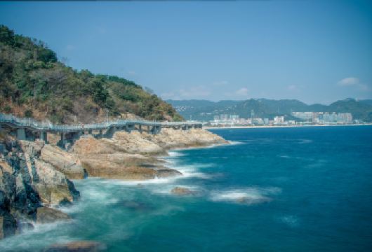 深圳大鹏半岛一日游【古城寻宝主题赋能、梦幻岛、红树林湿地园】【[公司出游]公司团队出游专属行程，独立成团VIP服务】