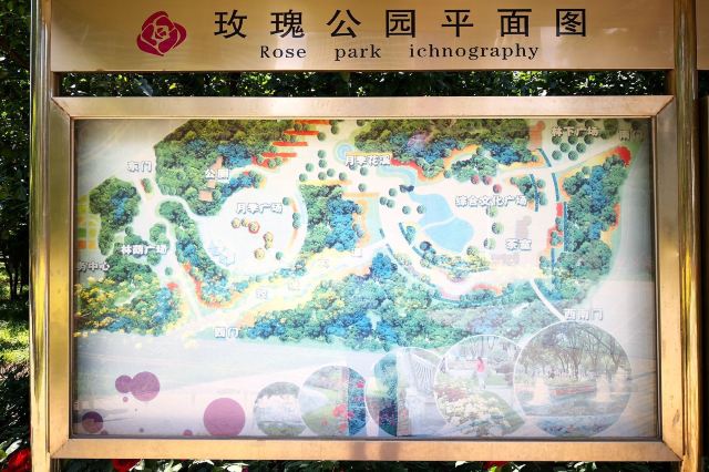 玫瑰公园旅行图片 6