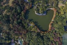 广西壮族自治区南宁市金花茶公园景点图片