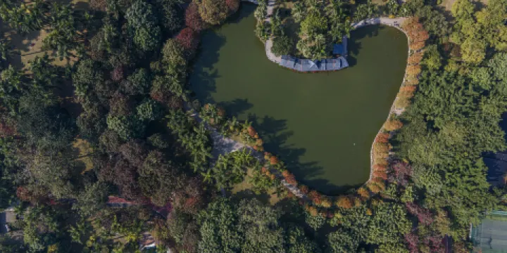 廣西壯族自治區南寧市金花茶公園