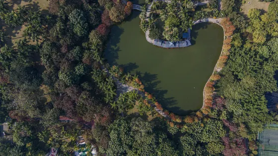 廣西壯族自治區南寧市金花茶公園