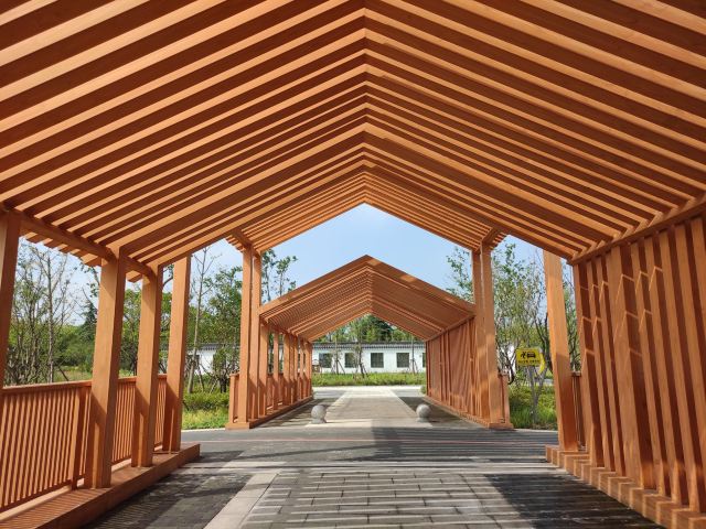合庆郊野公园旅行图片 3