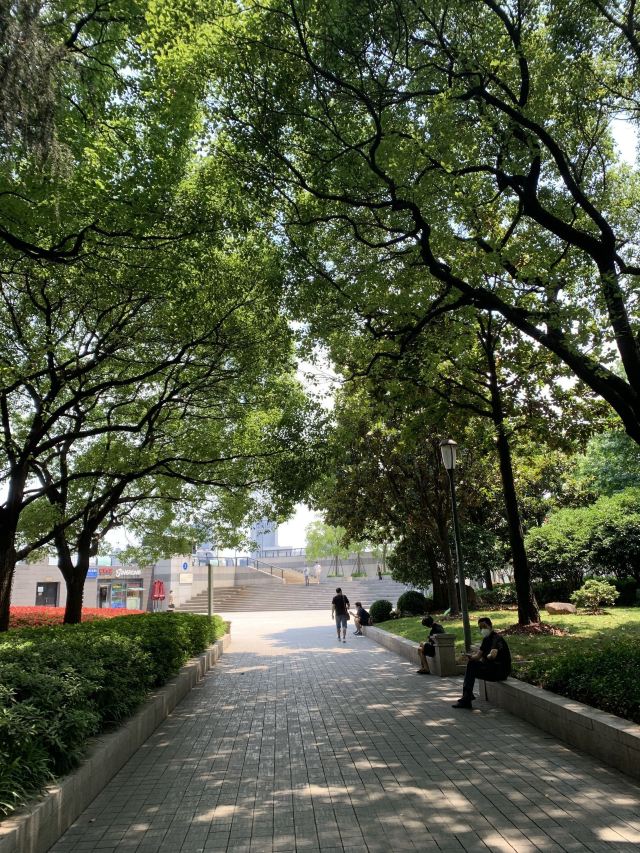 黄浦公园旅行图片 3