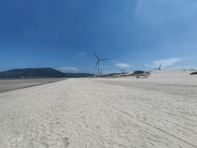 蓝眼泪观景点(长江澳海滩)旅行图片 5