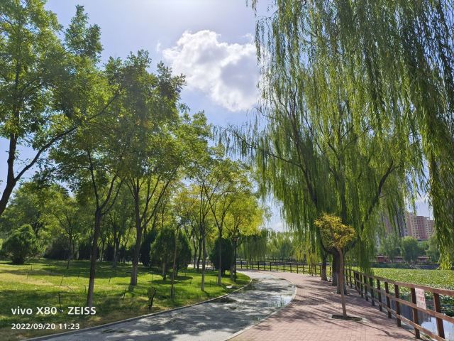 丽景湖公园旅行图片 4