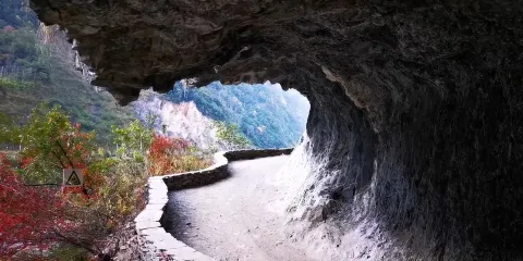 茶馬古道景點
