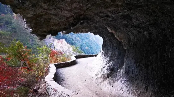 茶馬古道景點