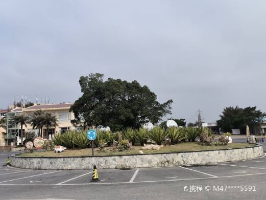 龙虎滩旅游度假区