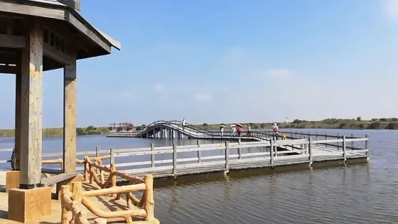 黃河口生態旅遊區鳥島景點