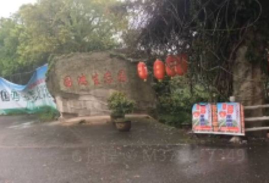 国鸿生态园景点图片