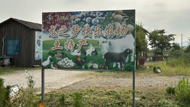 龙之梦快乐农场