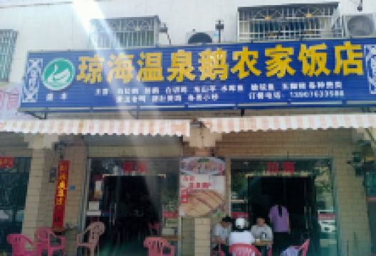 琼海温泉鹅农家饭店美食图片