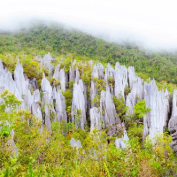 姆鲁山国家公园图片