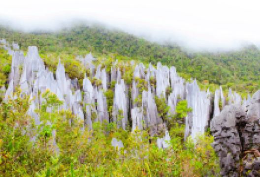 姆鲁山国家公园景点图片