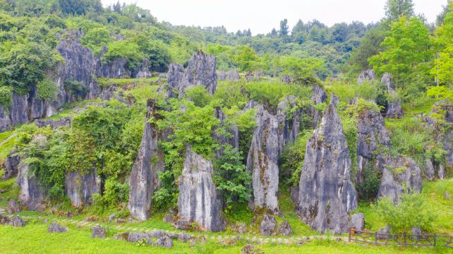 思南石林景区
