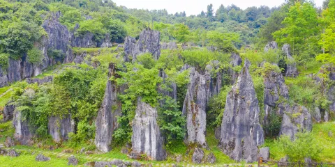 思南石林景區