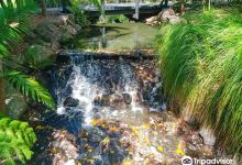 黄金海岸地区植物园景点图片