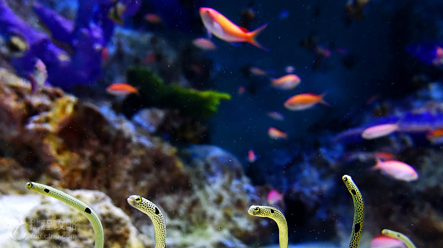小樽水族館